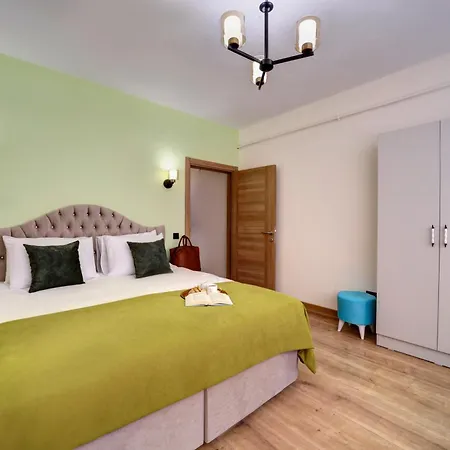 Charming And Comfortable Apartment Istanbul